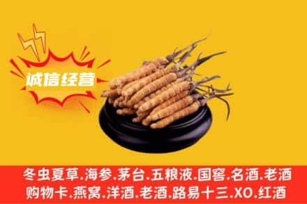 那曲巴青县回收冬虫夏草